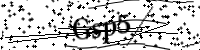 Bitte geben Sie die Buchstaben unten ein.